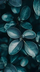 Midnight teal leaves whispering in quiet geometric rhythm.