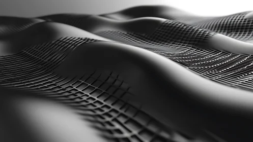 Monochrome undulating surface with geometric grid overlay.