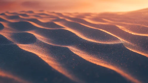Sunlit dune waves shimmer in a softly burning horizon.