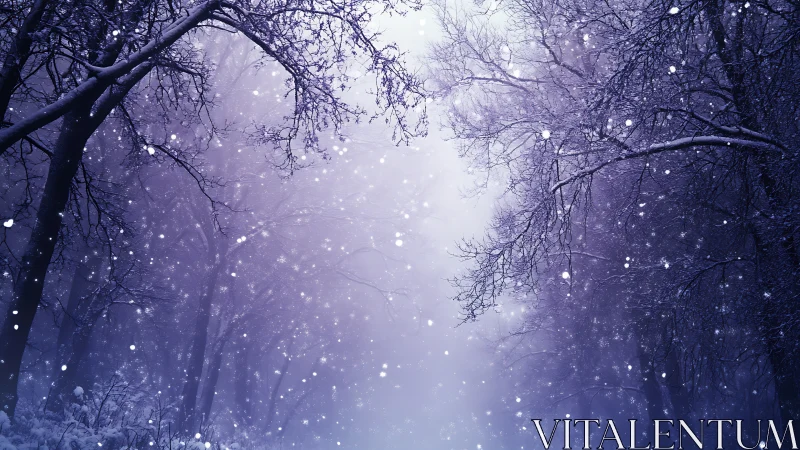 Enchanted Snowfall Through Twilight Boughs.