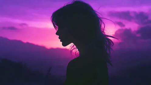 Chromatic silhouette profile against magenta-gradient twilight sky.