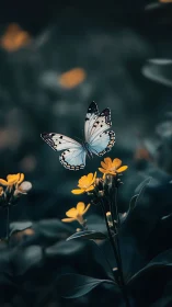 Blue butterfly over marigold blooms in moody bokeh garden.