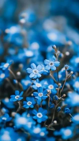 Delicate Blue Flowers in Soft Focus Garden.