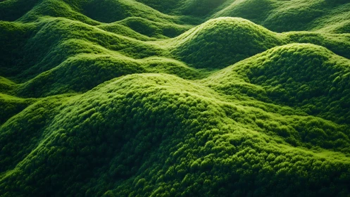 Emerald moss waves rolling across sunlit green valleys.