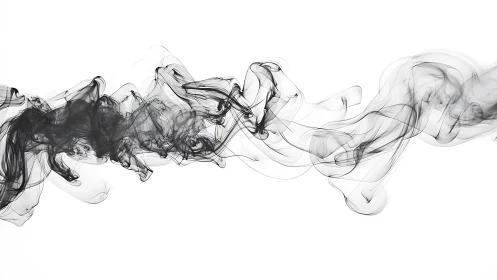 Ink-tinted smoke pirouettes across a stark white void