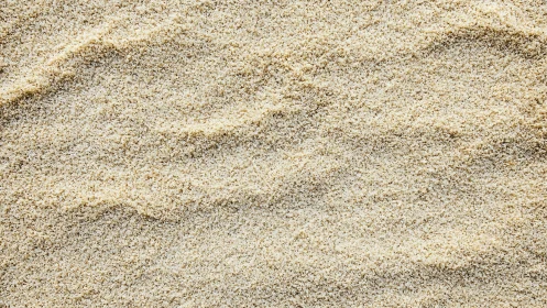 Fine granular sand surface shows subtle linear undulations