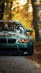 Emerald street predator prowls through a golden forest hush