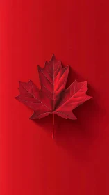 Monochrome macro analysis of red maple leaf surface geometry.