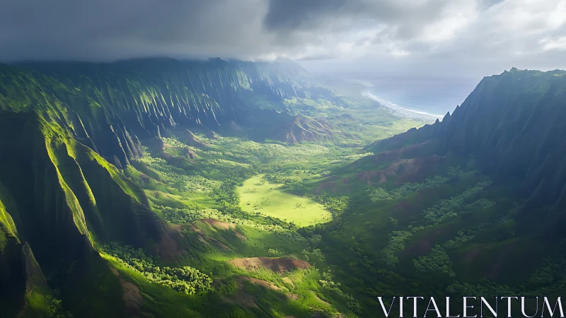 Sunlit valley cradled by soaring emerald coastal cliffs.