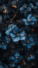 Blue Flowers with Golden Accents in Nighttime Botanical Display.