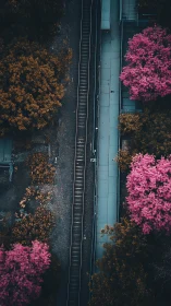 Railway vein slices through neon blossom and rusted foliage.