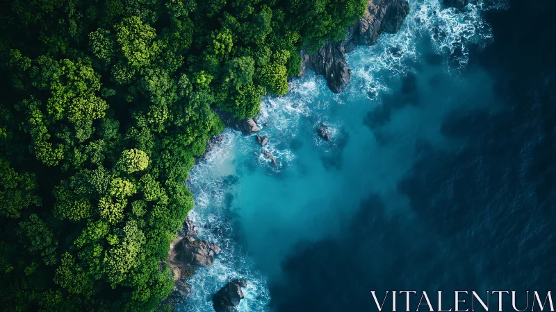 Aerial Convergence: Dense Forest Meets Turbulent Coastline