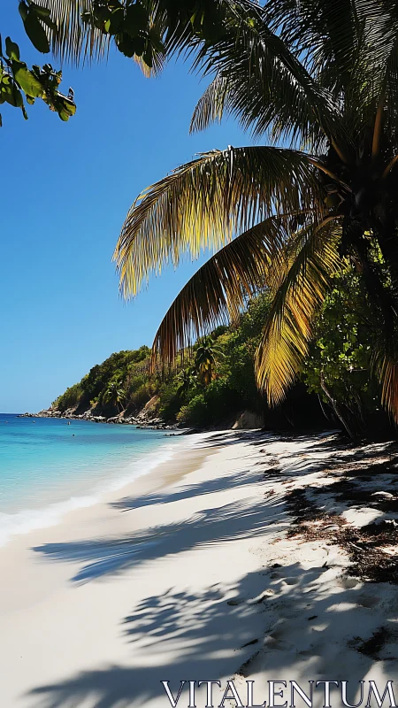 Tropical Beach Sanctuary: Palms and Turquoise Waters.