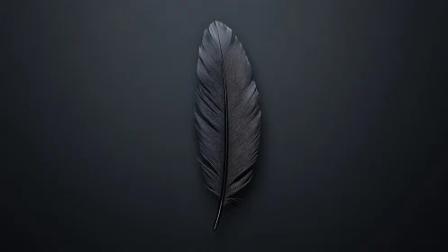 Single dark feather on smooth black background wall art.