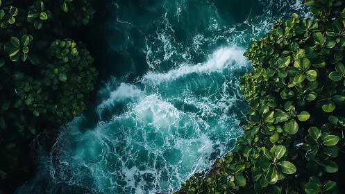Ocean surf collides with lush tropical jungle canopy from above.