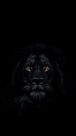 Lion head emerges from deep black background in low key