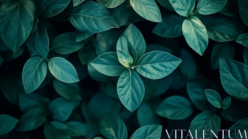 Emerald foliage composition with central radial leaf cluster.
