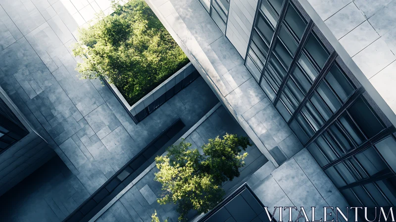 Skyview of quiet city courtyard where trees soften steel.