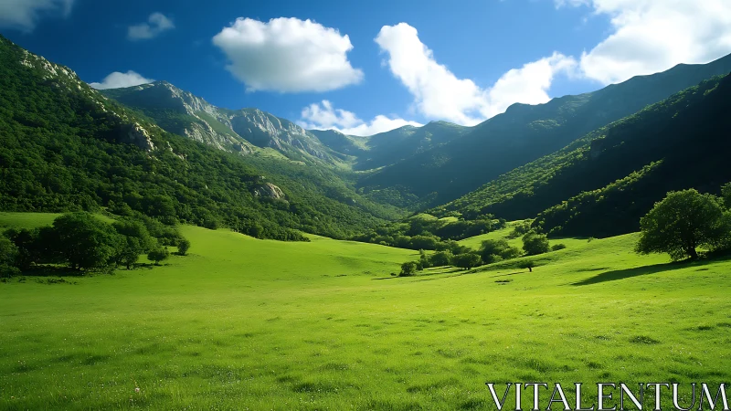 Sunlit green valley below rugged forested mountain ridge.