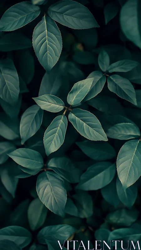 Midnight leaves trade whispers in a deep teal hush