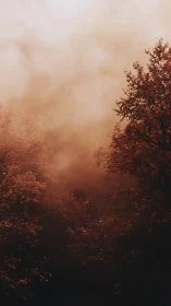 Autumn canopy silhouettes in cinematic copper mist light.