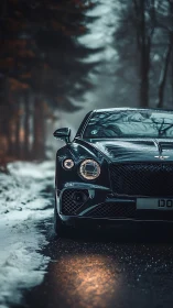 Luxury coupe front view isolates against moody winter forest