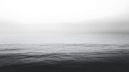 Monochrome seascape with calm waves and soft horizon.