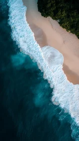 Aerial littoral interface with foaming shore break dynamics.