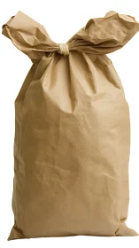 Brown paper sack stands upright with twisted rope closure