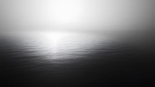 Monochrome seascape with low horizon and diffuse backlight