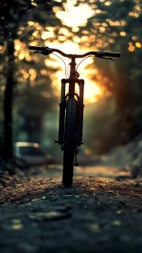 Golden Hour Moment with Your Trusty Bicycle