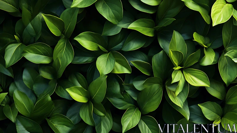 Emerald leaf mosaic weaving a lush botanical daydream.