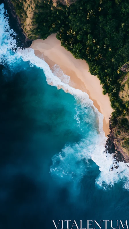 Aerial shoreline study shows gradient surf against tropical cliff