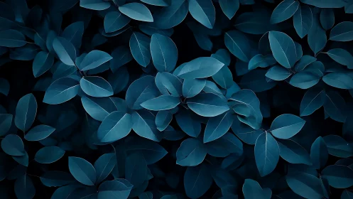 Midnight blue foliage forms a soothing abstract nature pattern