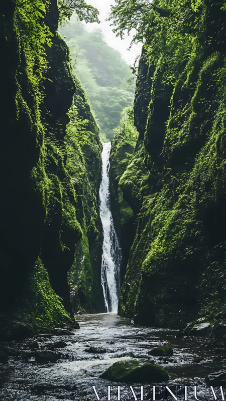 Moss-Draped Canyon with Cascading Waterfall Through Shadowed Gorge