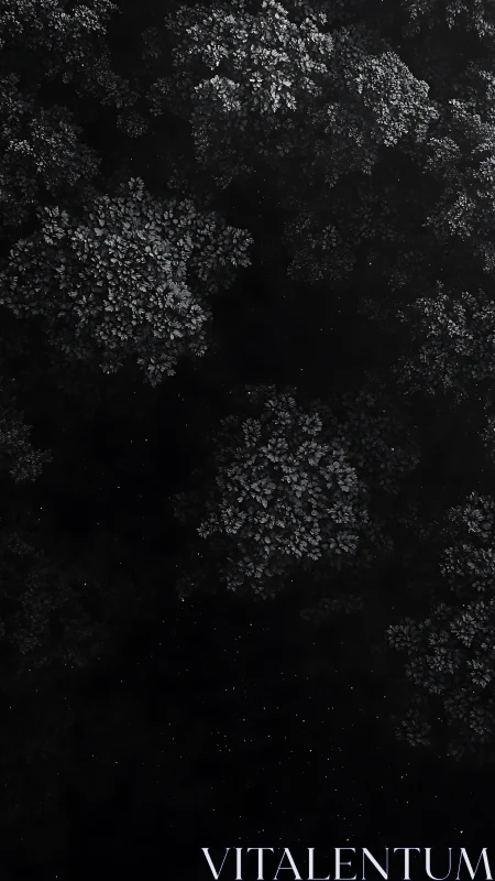 Monochrome aerial canopy renders dense foliage as negative space