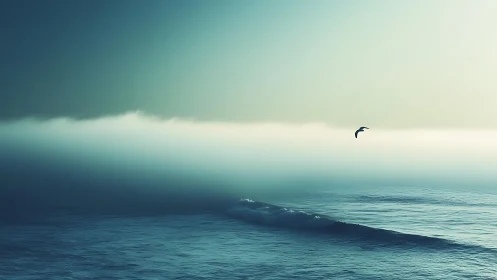 Low-contrast ocean horizon with fog band and solitary seabird