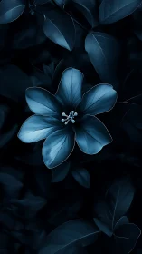 Luminous Petals Bloom Against Midnight Depths