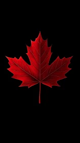 Red maple leaf silhouette on black background wall art.