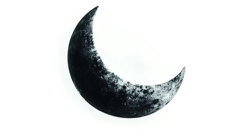 Crescent lunar fragment rendered with stark monochrome contrast.