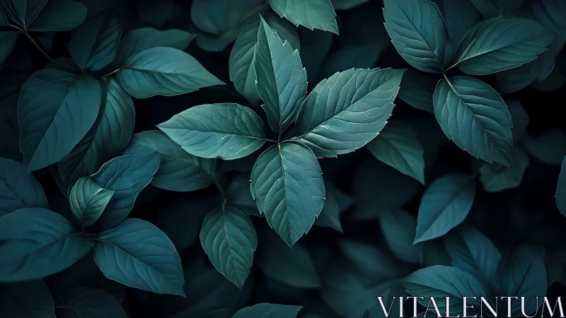 Low-key botanical canopy with teal-toned compound foliage geometry.
