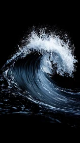 Nocturne wave rearing like a silver-backed sea dragon.