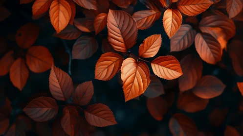 Autumnal leaf cluster with cinematic bokeh and tonal contrast.