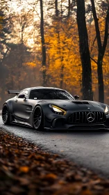 Matte black widebody GT coupe on damp forest road at dusk