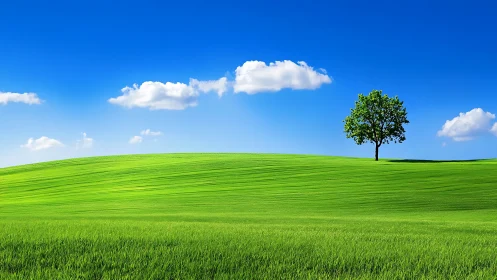 Lone tree stands on bright green hill under clear blue sky