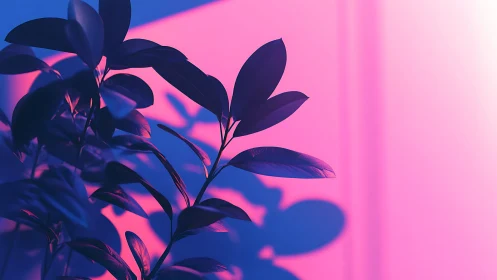 Neon-lit plant silhouette glows against bold pink backdrop
