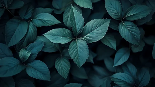 Low-key botanical canopy with teal-toned compound foliage geometry.