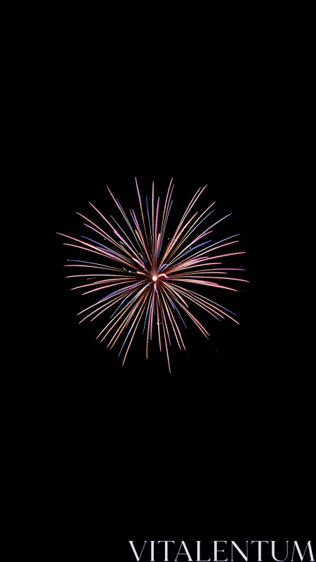 Radiant single firework blooming in a clear night sky.