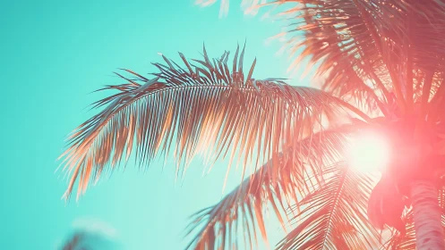 Sunlit palm fronds glowing in dreamy pastel tropical haze.