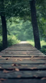 Leaf-dusted wooden path dissolving into forest hush.